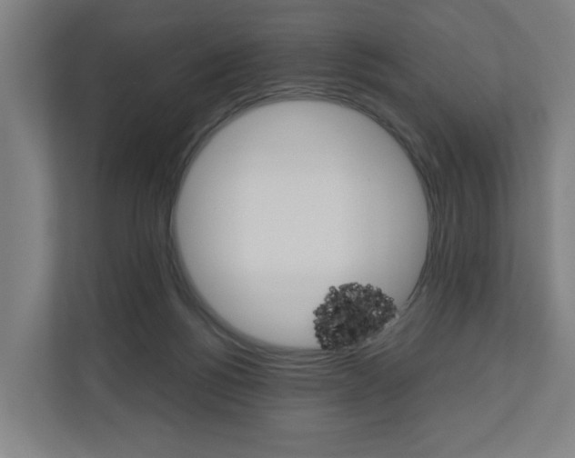 X0000111030168200906251125