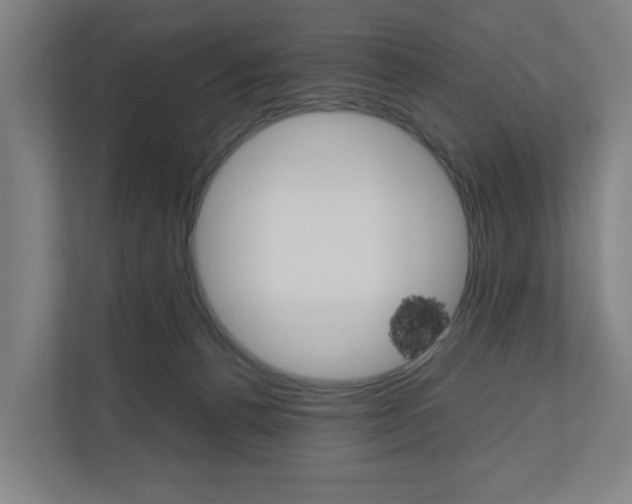 X0000111030176200906251125