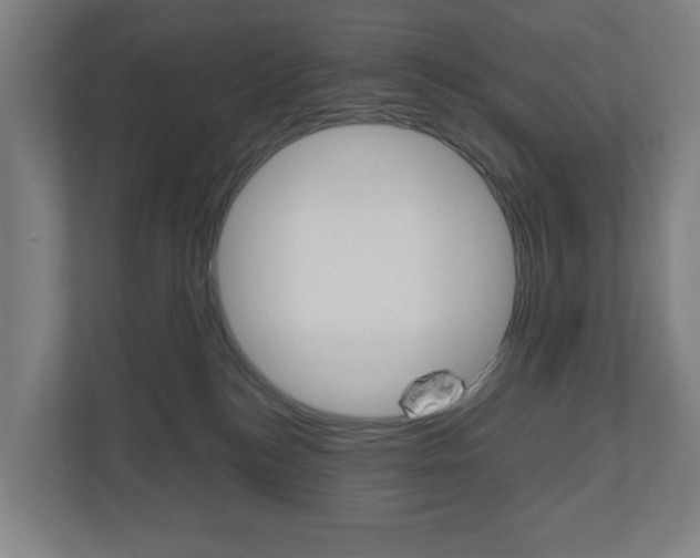 X0000111030184200906251125