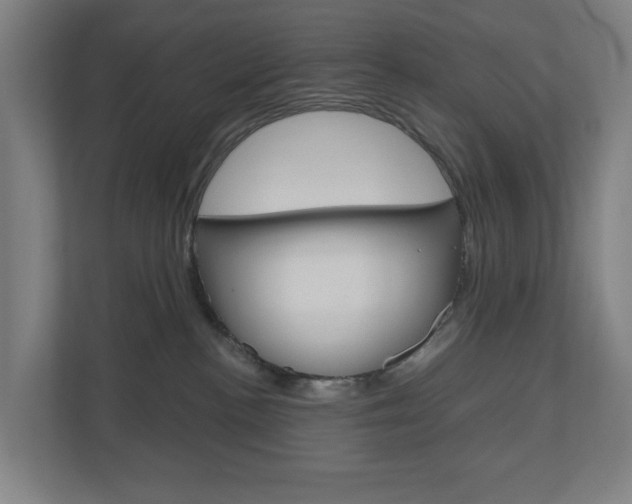 X0000111030188200906251125