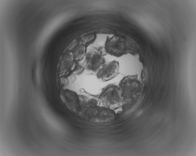 X0000111030189200906251125