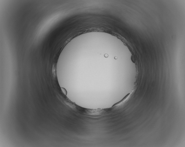 X0000111030191200906251125