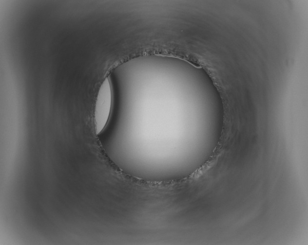 X0000111030192200906251125