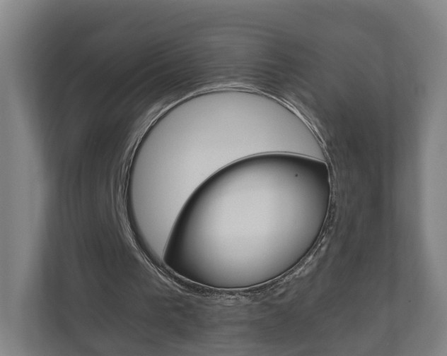 X0000111030193200906251124