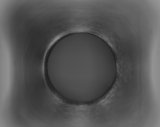 X0000111030196200906251124