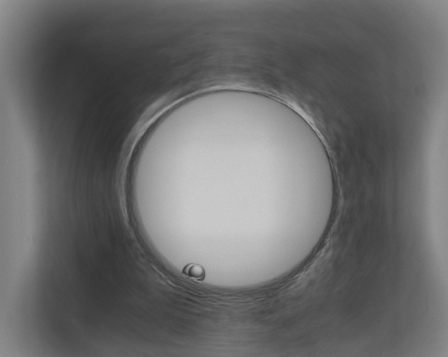 X0000111030199200906251124