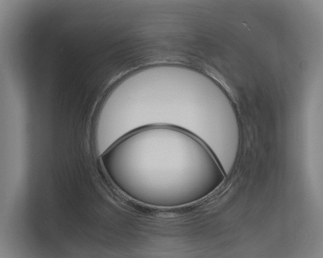 X0000111030203200906251124