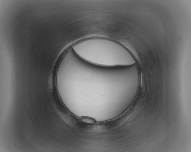 X0000111030204200906251124