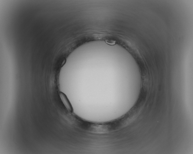 X0000111030221200906251124
