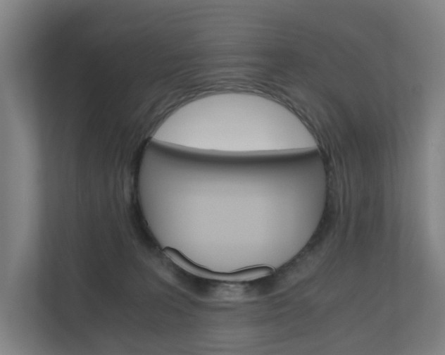 X0000111030227200906251124