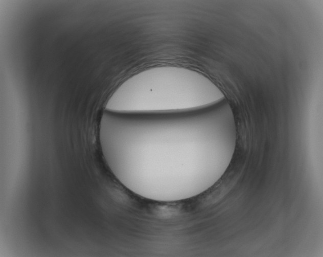 X0000111030232200906251124