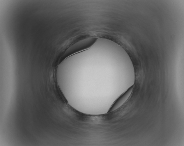 X0000111030233200906251124