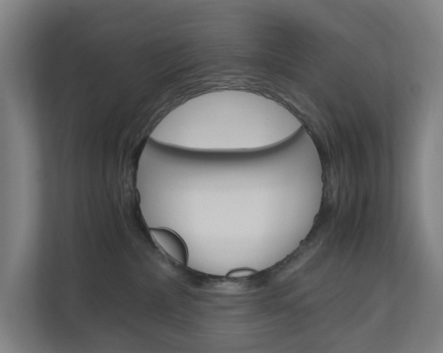 X0000111030236200906251124
