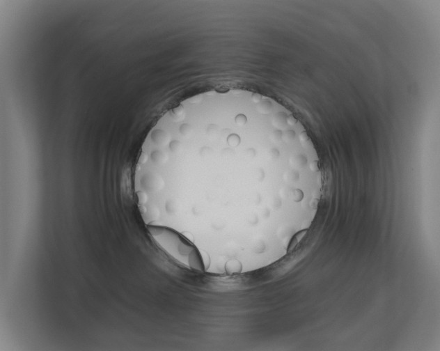 X0000111030238200906251124