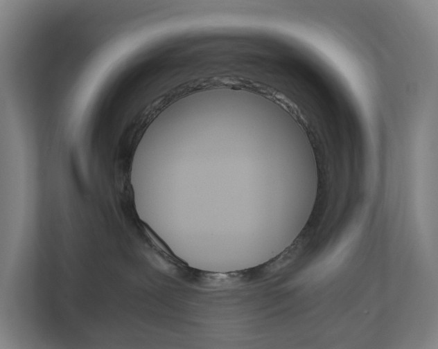X0000111030239200906251124