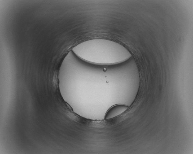 X0000111030240200906251124