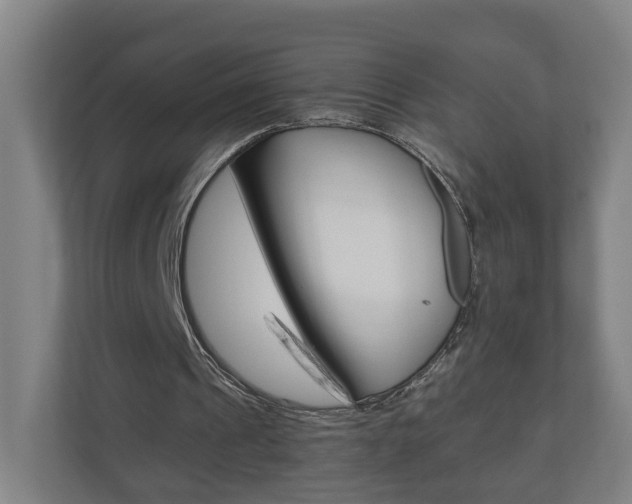 X0000111030241200906251123