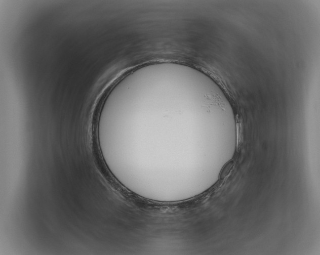 X0000111030243200906251123