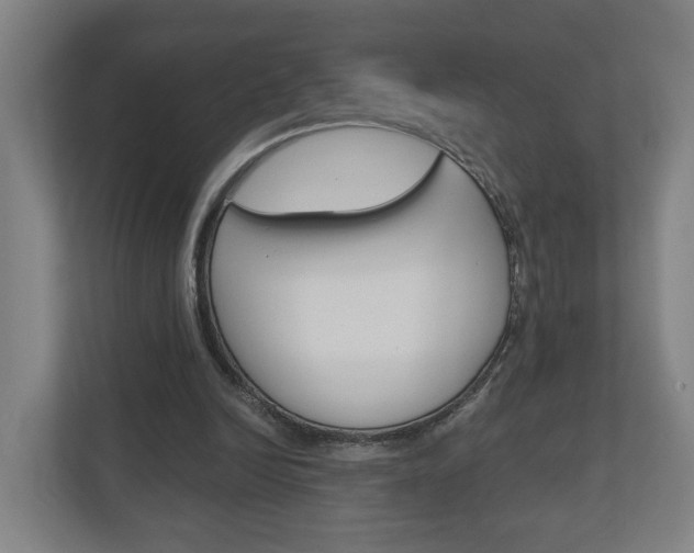 X0000111030246200906251123