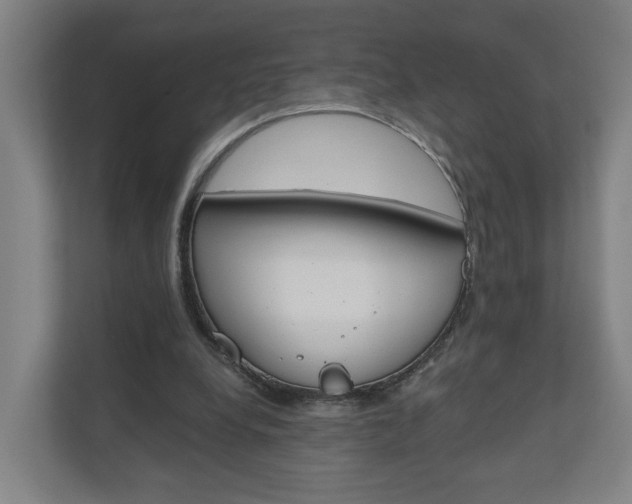 X0000111030248200906251123