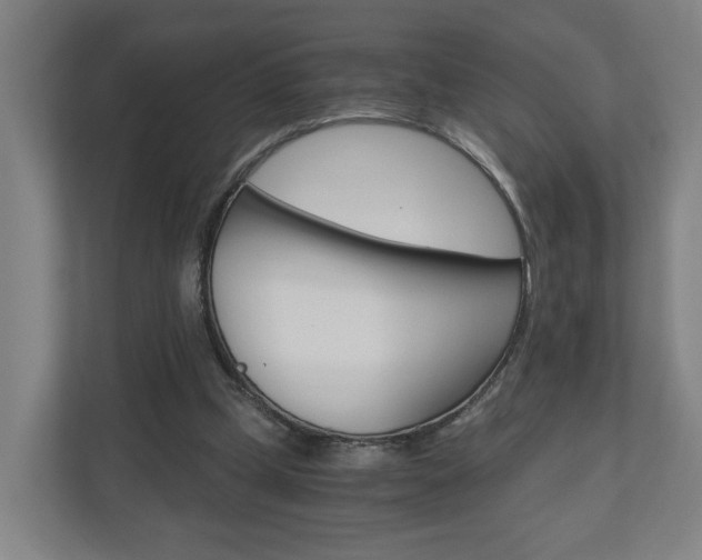 X0000111030249200906251123