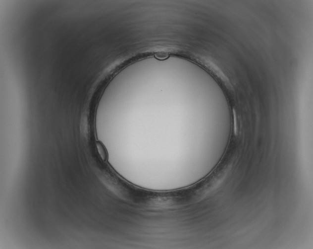X0000111030252200906251123