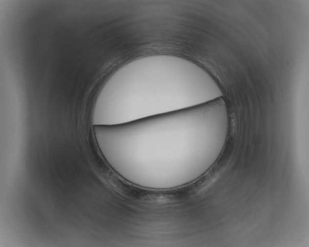 X0000111030254200906251123