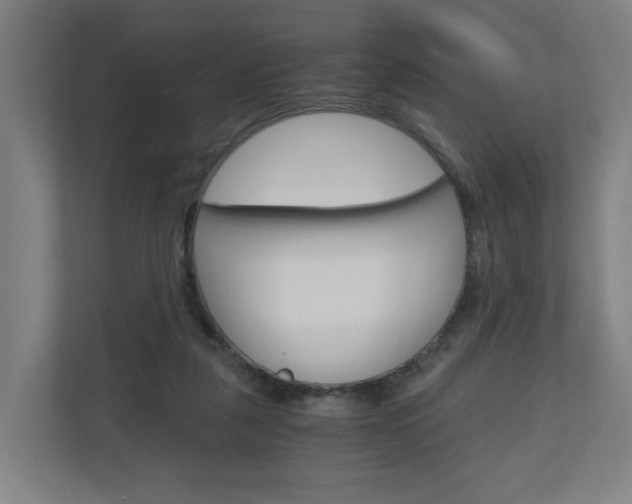 X0000111030259200906251123