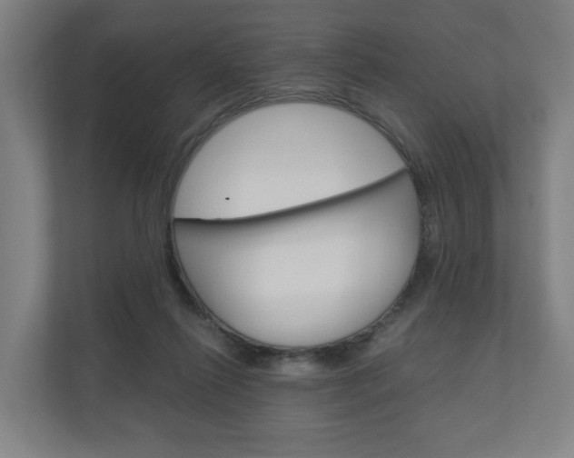 X0000111030262200906251123