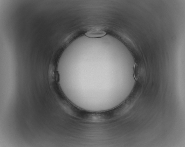 X0000111030264200906251123