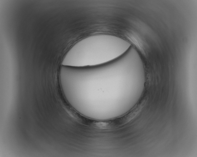X0000111030265200906251123