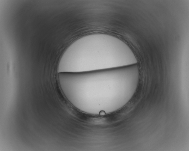 X0000111030266200906251123