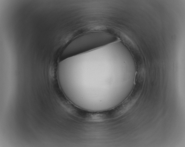 X0000111030268200906251124