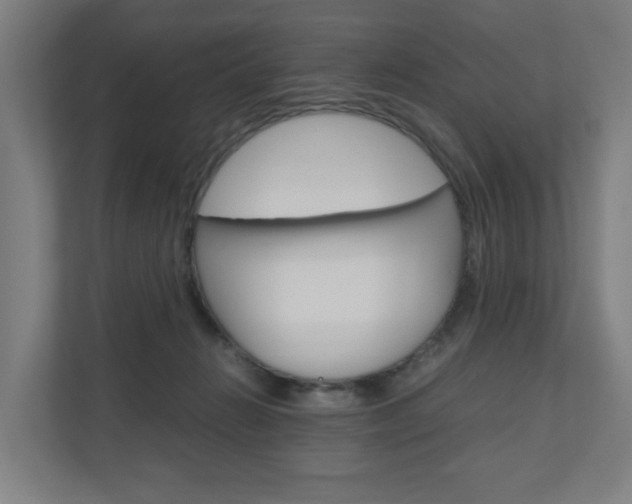 X0000111030270200906251124