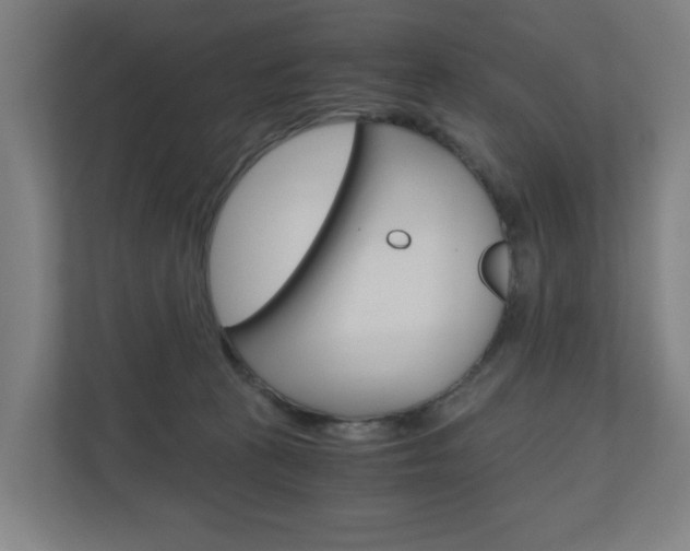X0000111030273200906251124