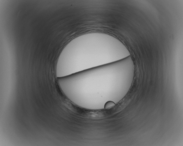X0000111030275200906251124