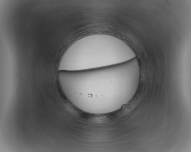 X0000111030278200906251124