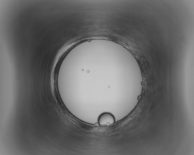 X0000111030294200906251123