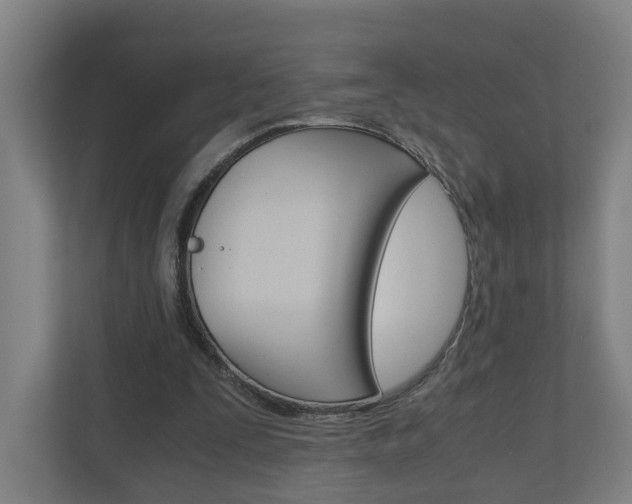 X0000111030295200906251123