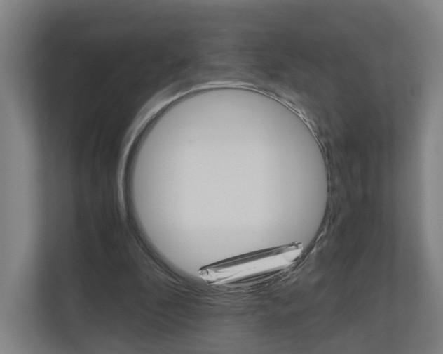 X0000111030296200906251123