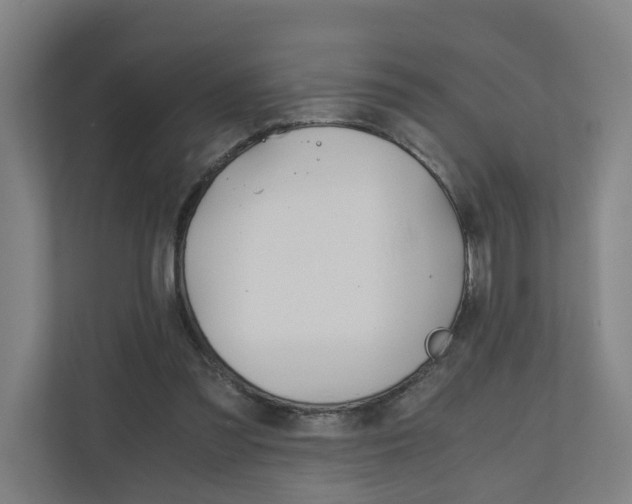 X0000111030301200906251123