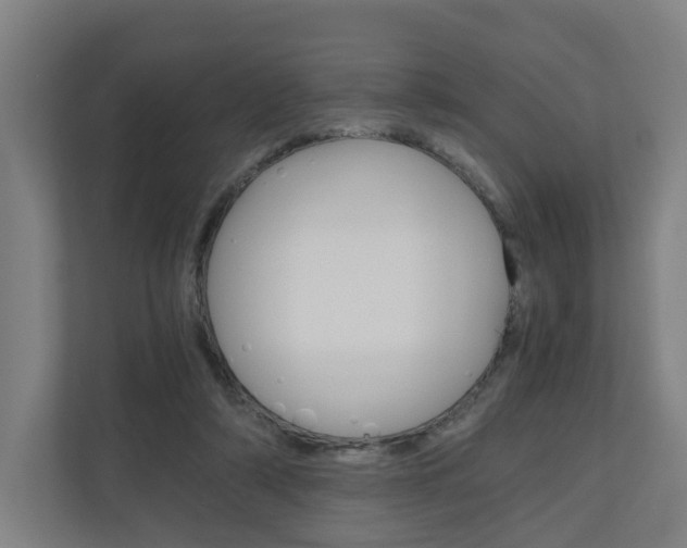 X0000111030306200906251123