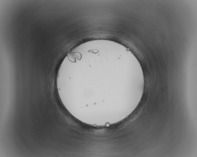X0000111030309200906251123