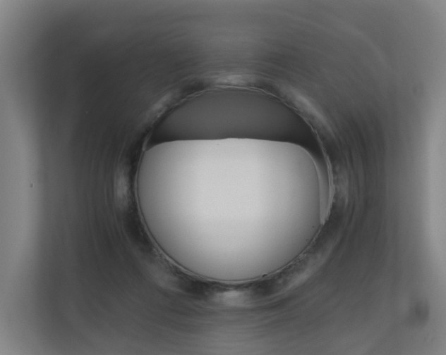 X0000111030312200906251123