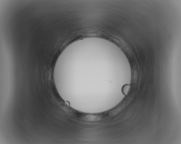 X0000111030326200906251123