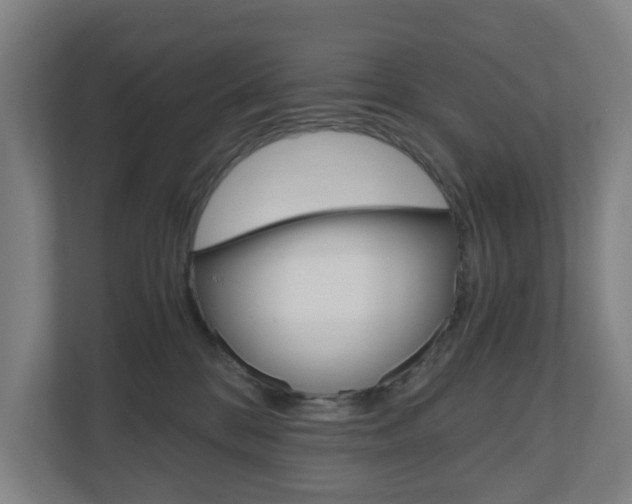 X0000111030328200906251123
