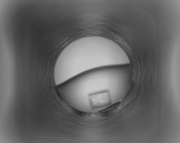 X0000111030329200906251123