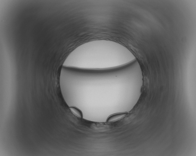 X0000111030331200906251123