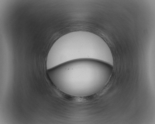 X0000111030333200906251123