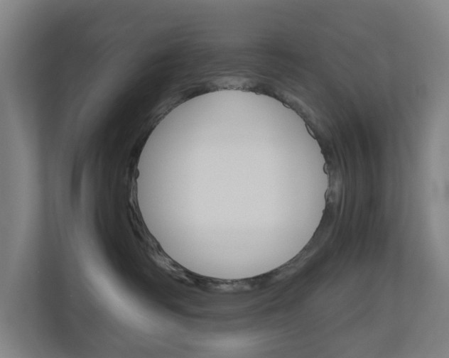 X0000111030334200906251123